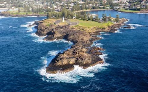 Kiama Blowhole and Sea Cliff Bridge wildlife day tour from Sydney