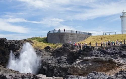 Wollongong Kiama Royal National Park Tour with Korean Guide