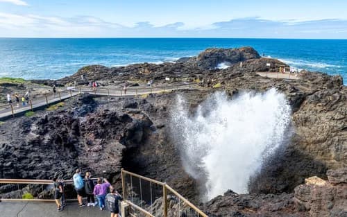 Kiama Blowhole, Sea Cliff Bridge, Beaches, Wildlife & Farmlands Tour