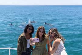 Jervis Bay Dolphin Cruise, Lunch, Berry&Kiama Blowhole Tour