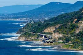 Sea Cliff Bridge, Kiama Blowhole, and Wildlife Tour