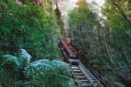 Blue Mountains Adventure: Scenic World, Zoo & Koala Photo