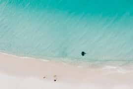 Jervis Bay Tour with Beaches, Koalas & Kangaroos